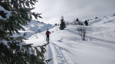 Ski de randonnée